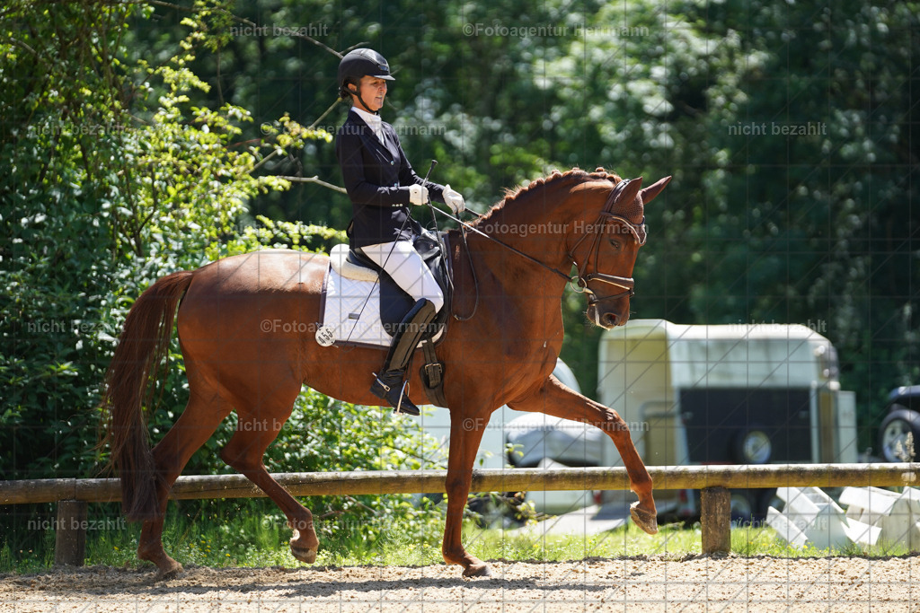 20240705-FAH04218 | Turnierbilder von Grafing, Reitsportbilder, Turnierfotos, Turnierfotografen Bayern, Pferdefotograf, Fotoagentur Herrmann