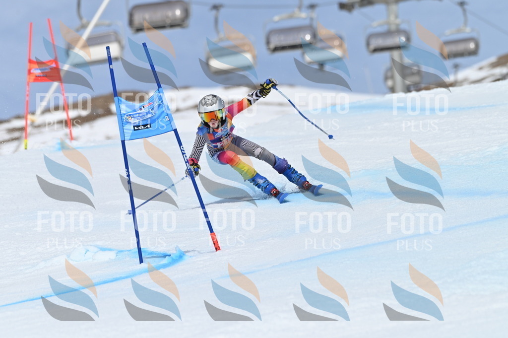 BGV_1295 | holidayphoto