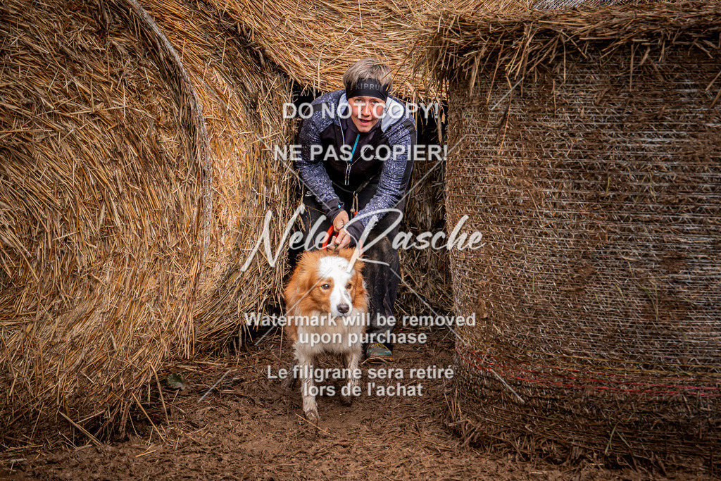 nelerasche_Hunsrück_So09-11_362 | nelerasche