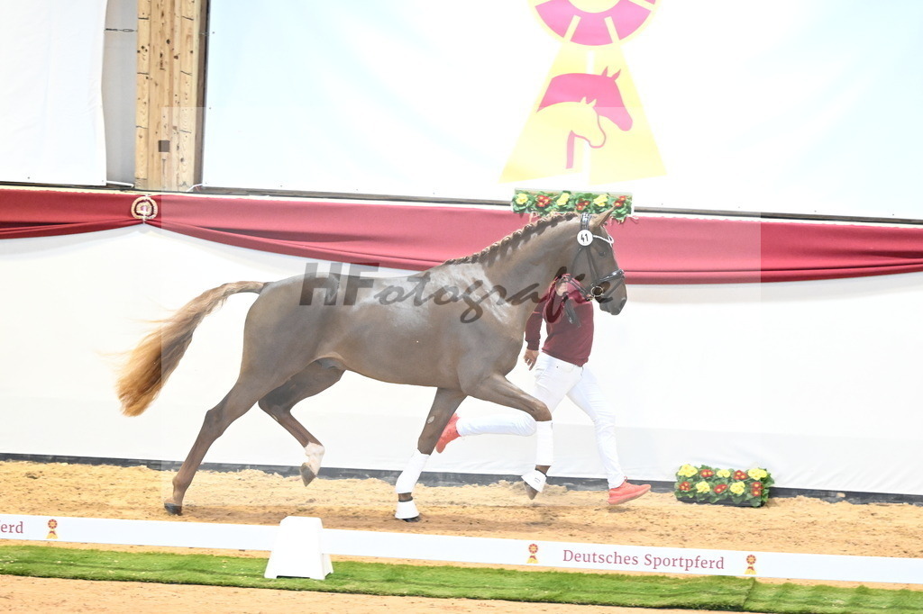 Kat.-Nr. 41 v. Donier_Beckmann_2240438 | hf-fotografie - Realisiert mit Pictrs.com
