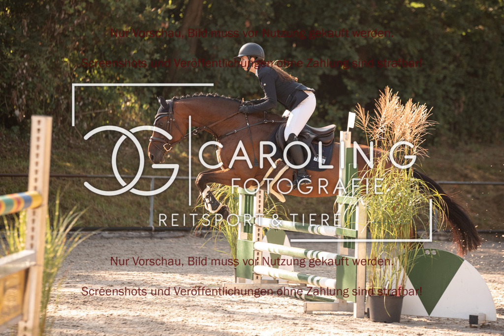 DSC_6601 | Turnierfotografin Carolin Gieschke, Turnierfotografie Carolin G Fotografie, Turnierfotos Kirchheim/Teck, Esslingen, Stuttgart, Bodenseekreis