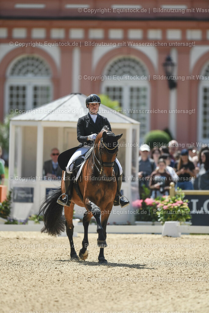 20230527_01_GP-Kür-Tour_0104 | equistock