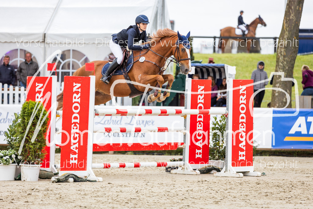 BHO-2PhSpr-M-351 | MomenTaufnahmen Pferdesportfotos