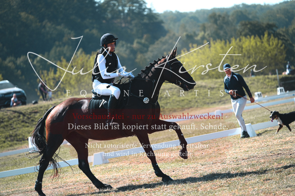 DSC_7892 | Pferde- und Turnierfotografie in Westsachsen. Pferdeportraits, Auftragszeichnungen und intuitive Kunst.