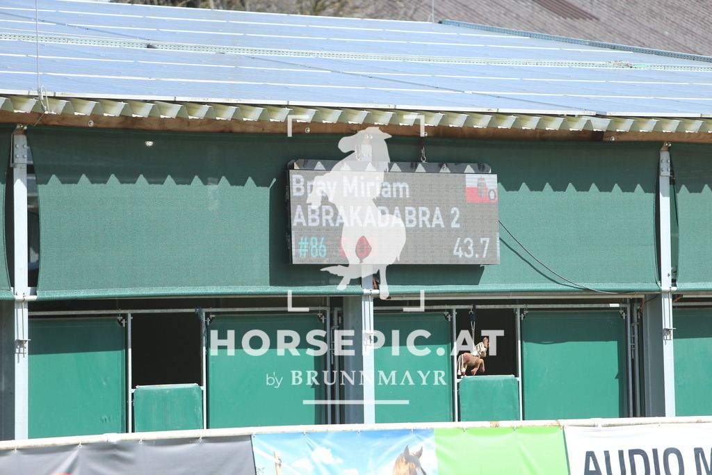 DL2Q8589 | Willkommen bei Brunnmayr - Design & Fotografie – Ihrem Spezialisten für Reitturniere und Pferdeveranstaltungen in Oberösterreich, Salzburg und Bayern! Seit über 17 Jahren sind wir leidenschaftlich dabei.