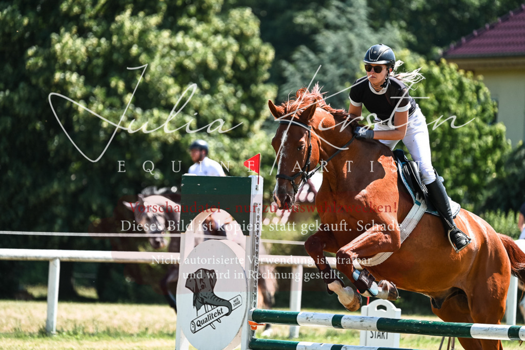 DSC_0474 | Pferde- und Turnierfotografie in Westsachsen. Pferdeportraits, Auftragszeichnungen und intuitive Kunst.