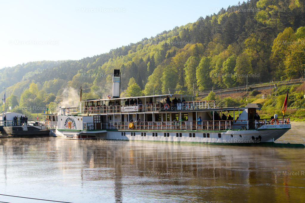 _DSC3543 (2) | foto-rosenfeld