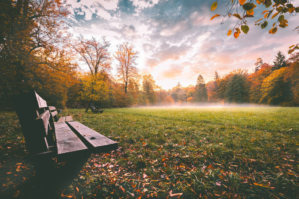Eine Parkbank im herbstlichen Rotwildpark bei Schloss Solitude,Stuttgart,Sonnenaufgang und leichter Bodennebel | Das Bild zeigt eine Parkbank an einem nebligen Herbstmorgen in einem farbenfrohen Laubwald mit goldenem Sonnenlicht.Stimmung: Ruhig, herbstlich und nebligElemente: Eine hölzerne Bank am Bildrand, eine weite Rasenfläche mit herabgefallenen Blättern und von Nebel durchzogenes Sonnenlicht am Horizont. - Realisiert mit Pictrs.com