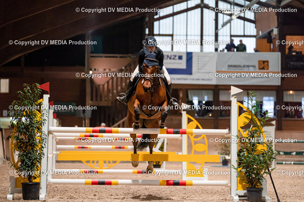 Springen Tag 2-831 | dv-media-shop - Realisiert mit Pictrs.com