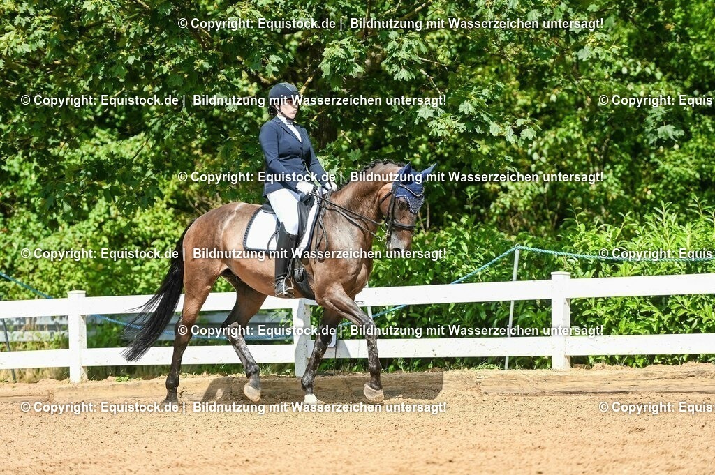 20230716_01_Dressurprüfung Kl.M_0283 | equistock