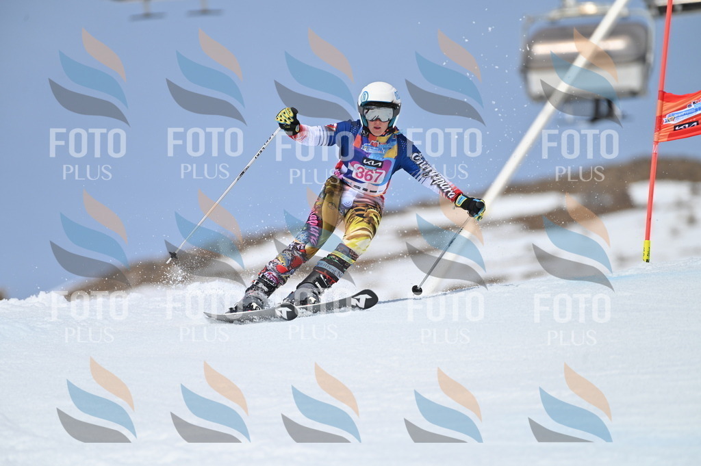 BGV_3971 | holidayphoto