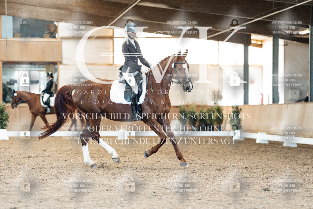 CK908595 | Turnierfotografie Pferdefotografie Trier Rheinland-Pfalz Pferdesport Reitsport Tierfotografie Sportfotografie Pferdevideo Pferdevideografie Equestrianvideography equestrianphotography  - Realized with Pictrs.com