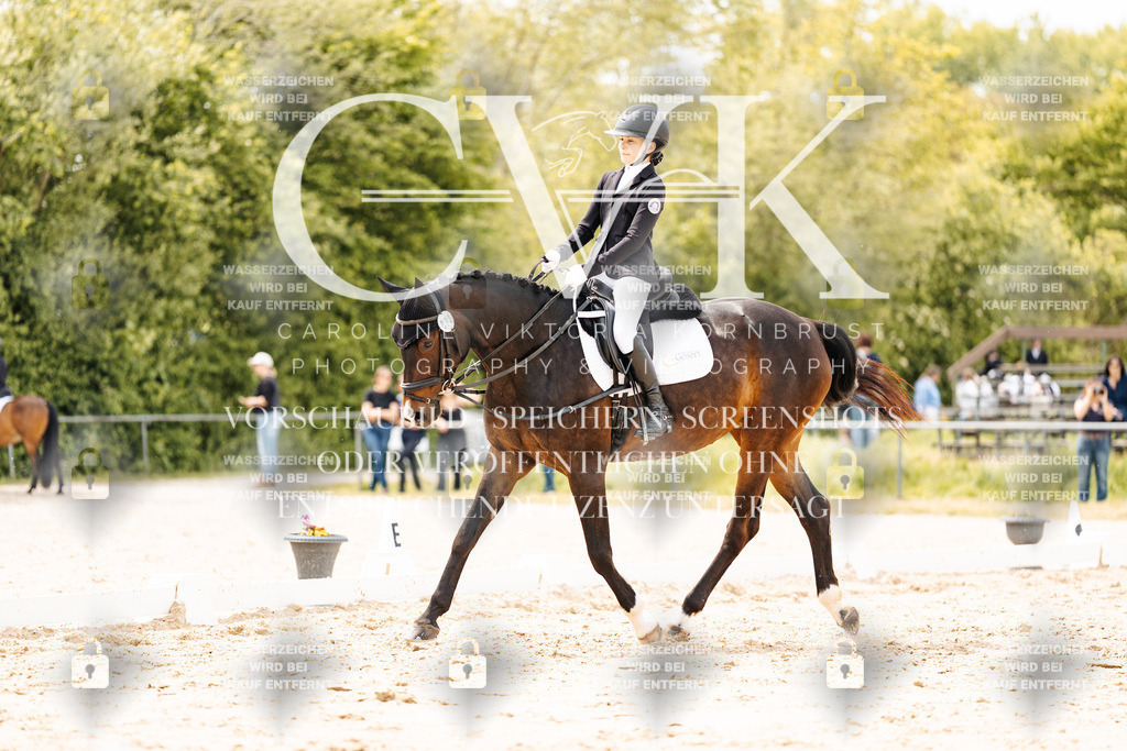CK902483 | Turnierfotografie Pferdefotografie Trier Rheinland-Pfalz Pferdesport Reitsport Tierfotografie Sportfotografie Pferdevideo Pferdevideografie Equestrianvideography equestrianphotography  - Realisiert mit Pictrs.com