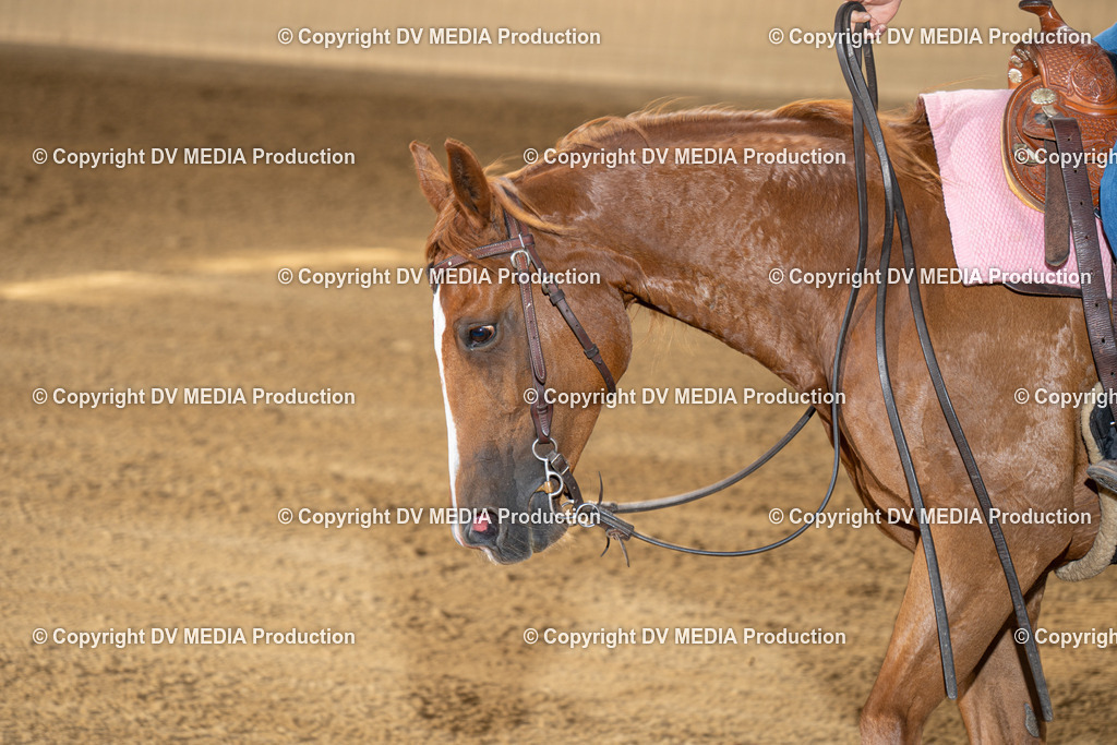 DSC00121 | dv-media-shop - Realisiert mit Pictrs.com