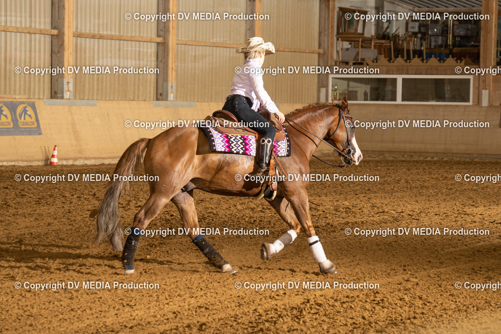 LAU00245 | dv-media-shop - Realisiert mit Pictrs.com