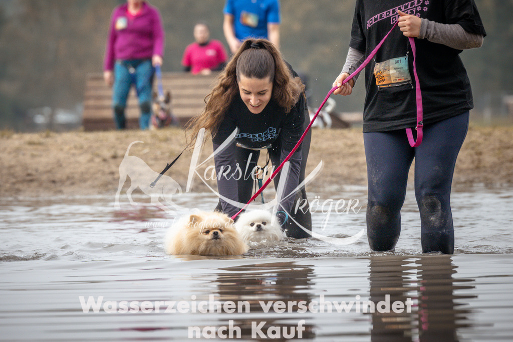 1113_ZZ93211 | kk-dogfotos
