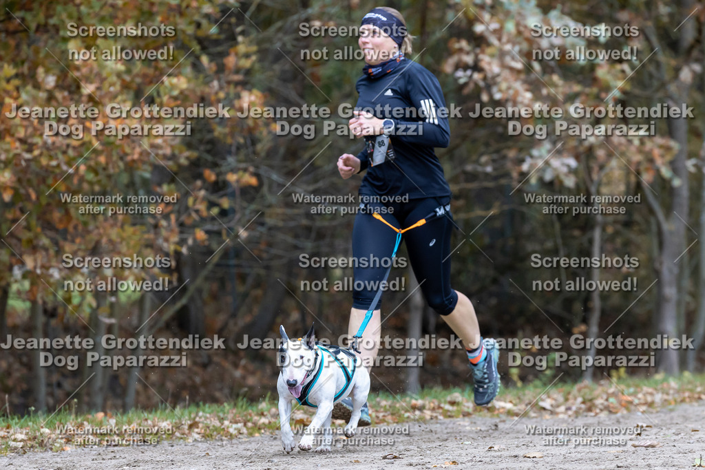 Dog Paparazzi - SD CaniX Championship 2025-627 | Dog Paparazzi Jeanette Grottendiek Fotografie & Videografie - Realisiert mit Pictrs.com