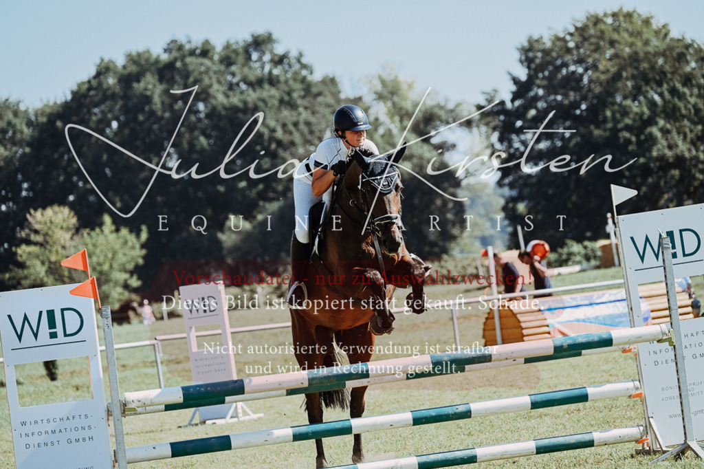 DSC_5953 | Pferde- und Turnierfotografie in Westsachsen. Pferdeportraits, Auftragszeichnungen und intuitive Kunst.