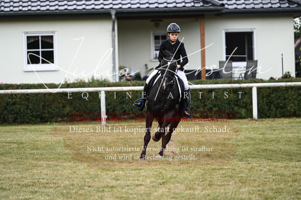 DSC_5729 | Pferde- und Turnierfotografie in Westsachsen. Pferdeportraits, Auftragszeichnungen und intuitive Kunst.