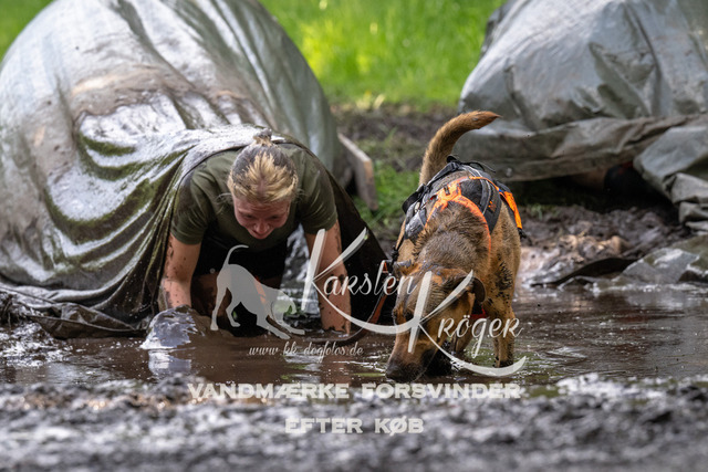 1340_ZZ91876 | kk-dogfotos