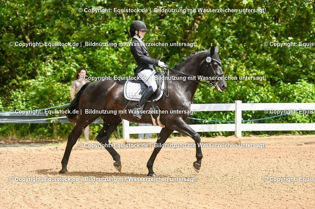 20230716_01_Dressurprüfung Kl.M_0017 | equistock