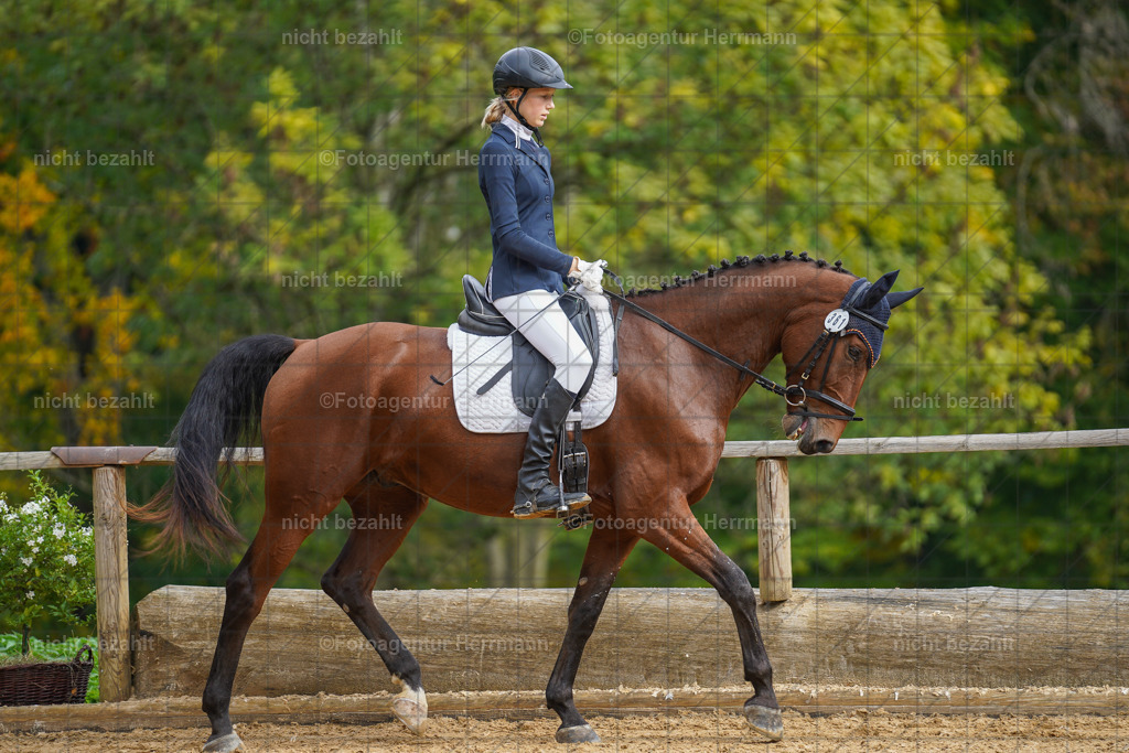 20221007-FAH09858 | Diessen am Ammersee, 2022, Dressur- und Springturnier, Reitsportbilder, Turnierfotografen Bayern, Pferdefotografen, Fotoagentur Herrmann, Turnierbilder