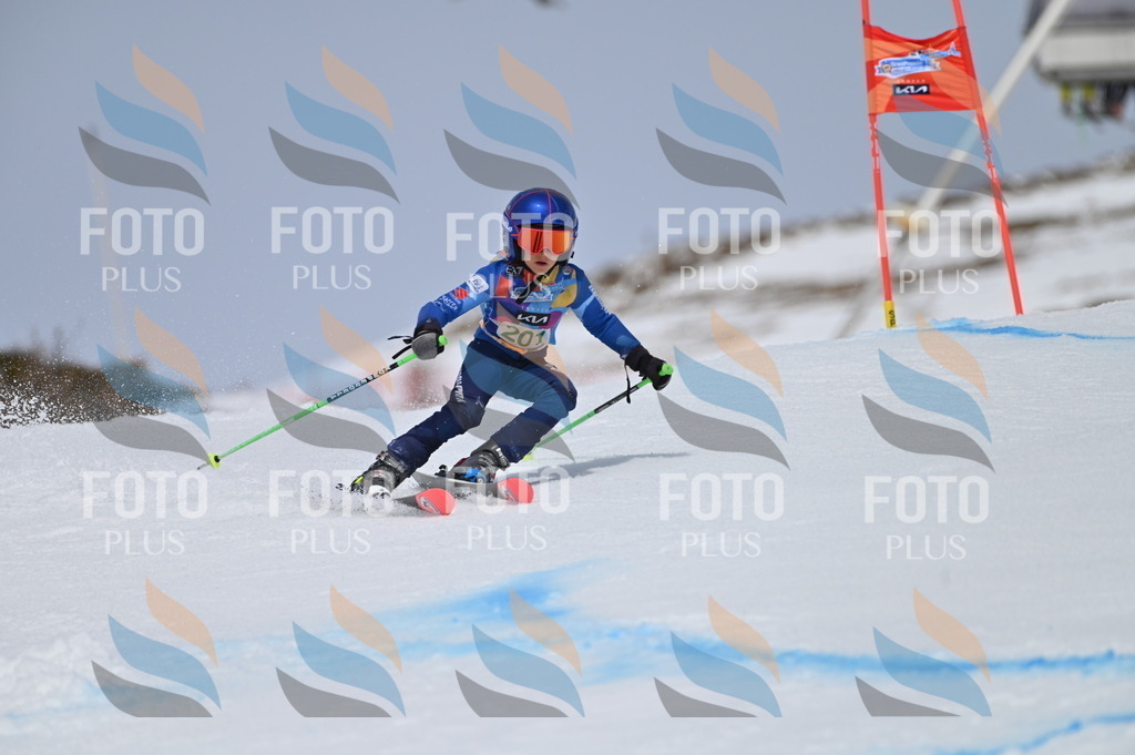 BGV_3870 | holidayphoto