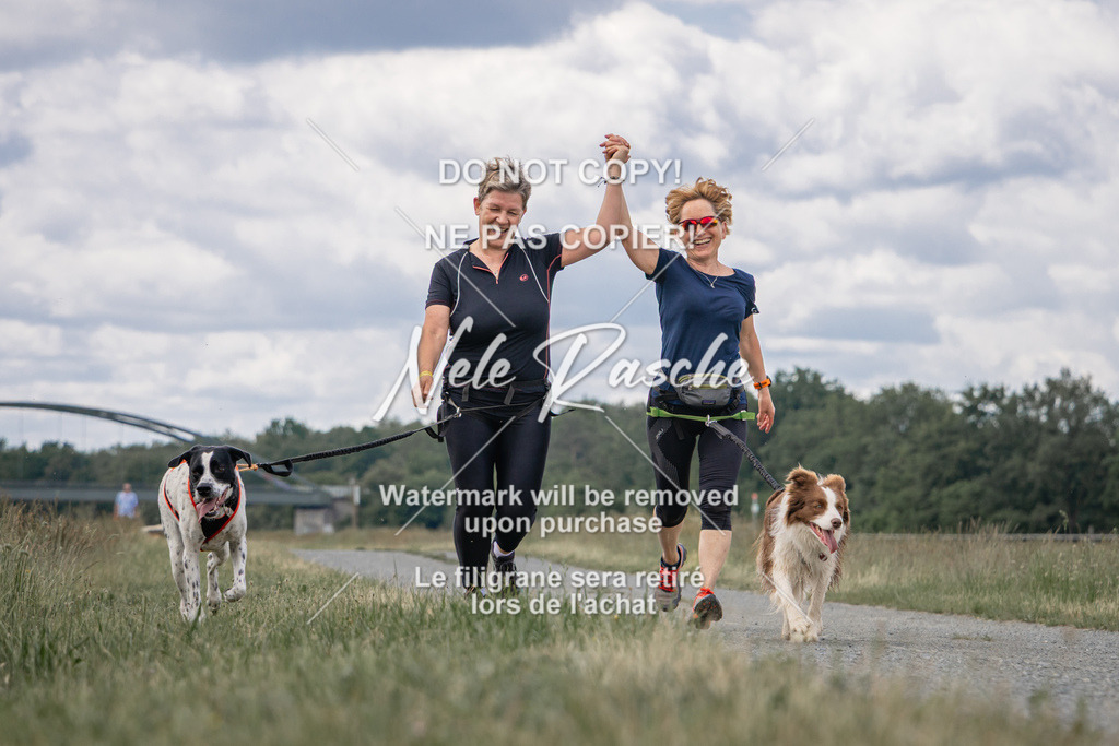 nelerasche_BuHu2026_SaCC1100-1200_152 | nelerasche