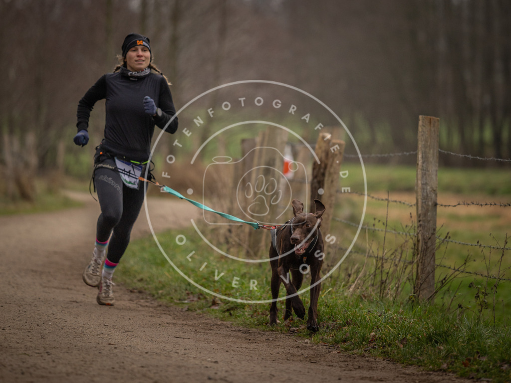 Pfotenfotografie_DV3A2692 | Hundefotografie, Tierfotograf, Pfotenfotografie, Fotoshooting Hund, Hunde Portrait, Hundesport, Hundeportraits, Heideshooting, Hunde, Sportfotograf, Hundefotograf, Turnierhundsport, THS,  - Realisiert mit Pictrs.com