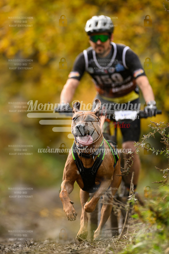 MompixPhotography_ICF_WC_2024_SA_Bike_-205 | PayLife