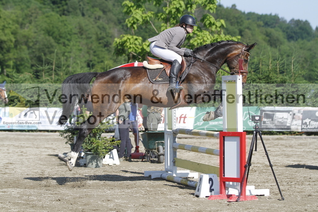 _MG_8153 | equestrian-live-com