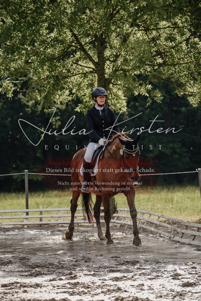 DSC_8879 | Pferde- und Turnierfotografie in Westsachsen. Pferdeportraits, Auftragszeichnungen und intuitive Kunst.