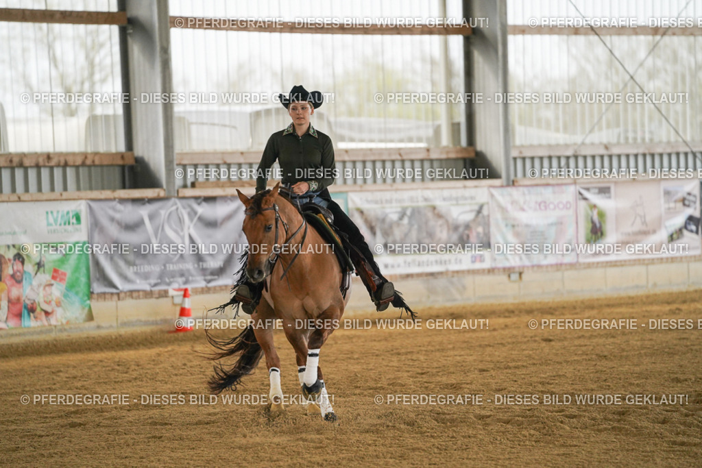 DSC07987 | Pferdegrafie