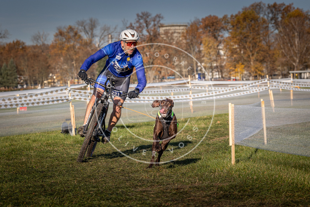 CaniXpix_0L8A4638 | Hundefotografie, Tierfotograf, Pfotenfotografie, Fotoshooting Hund, Hunde Portrait, Hundesport, Hundeportraits, Heideshooting, Hunde, Sportfotograf, Hundefotograf, Turnierhundsport, THS,  - Realisiert mit Pictrs.com