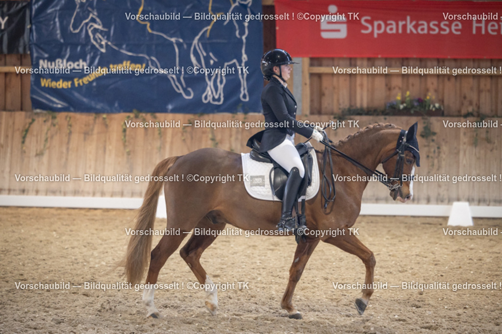 _D5A1978 | Emotionale Pferde- & People-Fotografie rund um Heidelberg, Leimen & Umgebung. Natürliche Fotos von Pferd, Mensch & Familie. Jetzt Termin sichern!