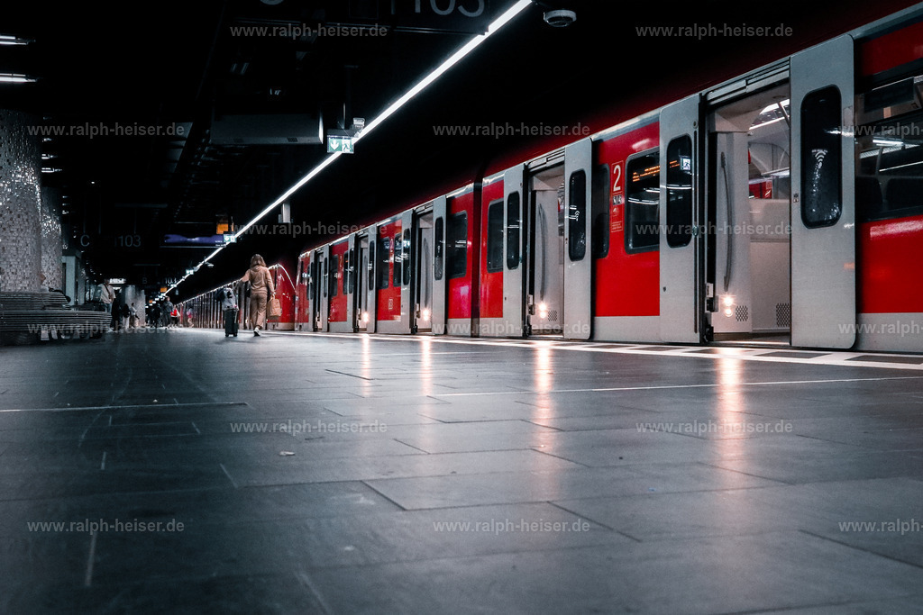 _MG_8244_01 | Wandbilder, Bilder, Fotograf in Marburg, Tierbilder, Wandfotos, Bilder Shop, Günstige Bilder, Schwarz-Weiß Bilder, Ralph Heiser