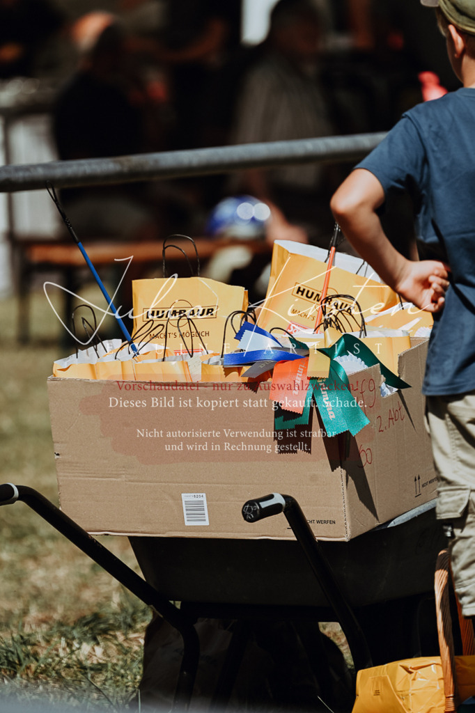 DSC_0071 | Pferde- und Turnierfotografie in Westsachsen. Pferdeportraits, Auftragszeichnungen und intuitive Kunst.