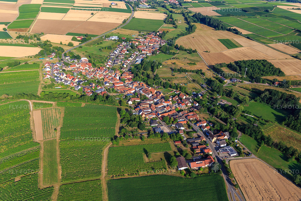 Luftbild: Dorfansicht aus Osten in Oberhausen im Bundesland Rheinland-Pfalz in Deutschland. Foto: IMG_149375.jpg vom 05.07.2025 durch Werner Riehm/FLY-FOTO.de