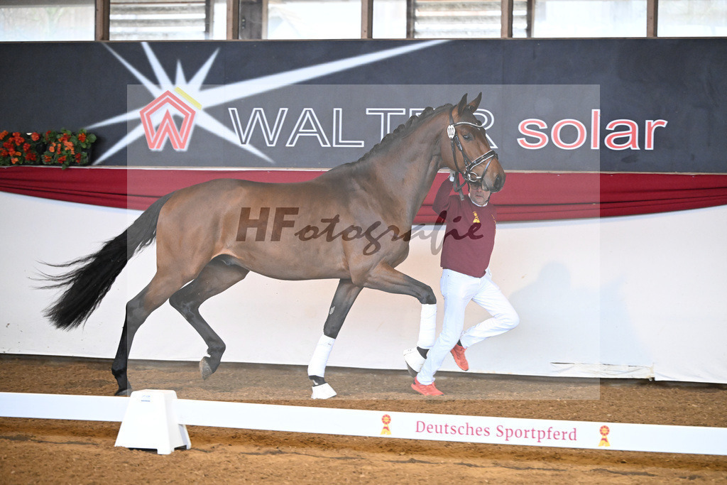 Kat-Nr. 2 ReBos Barnaby HJ v. Bonderas_Rettenmeier_16250002 | hf-fotografie - Realizzato con Pictrs.com