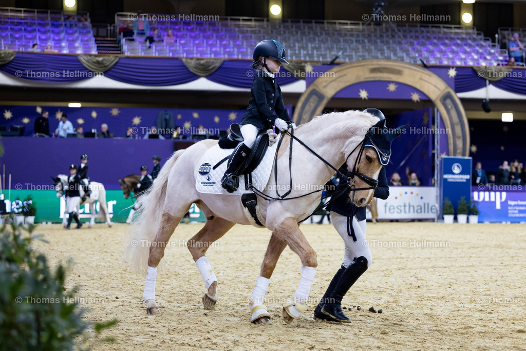 TH_83 Nancho_s Goldzauber_ Violette Claus_23959 | 83 Nancho's Goldzauber, Violette Claus beim Festhallen Reitturnier Frankfurt 2024 am 20.12.24 in Frankfurt, Festhalle