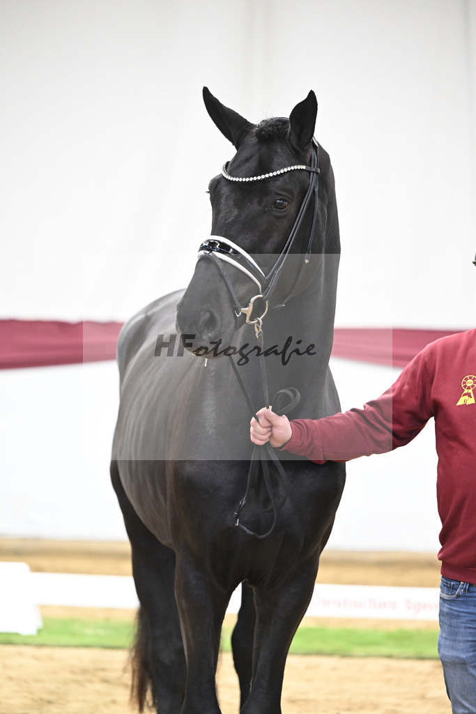 Kat-Nr. 39 Secret x Finest_Ignaz Berger_47251361 | hf-fotografie - Realisiert mit Pictrs.com