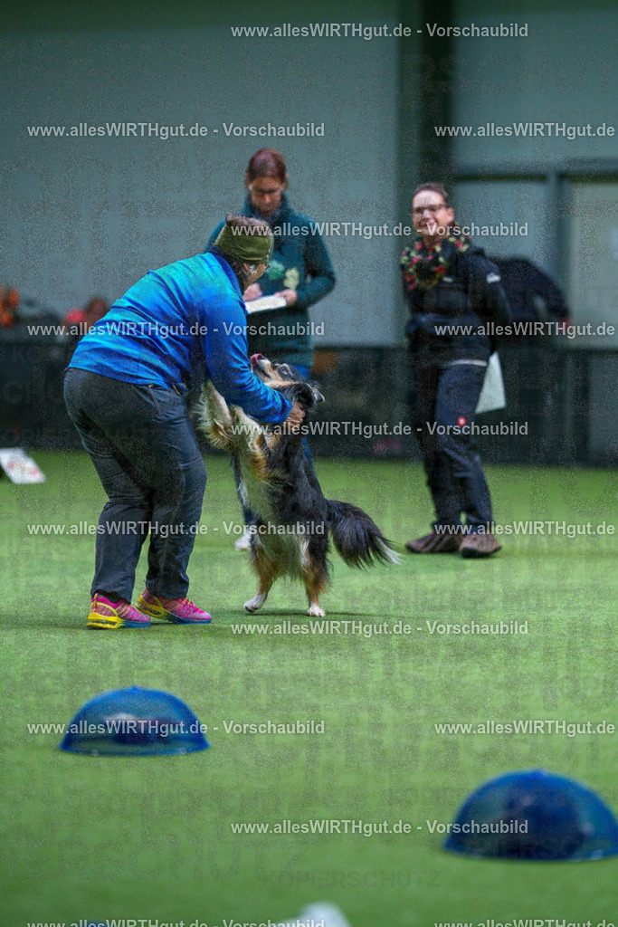 7R506484 | Professionelle Tierfotografie in Mönchengladbach von Daniel Wirth (allesWIRTHgut). Liebevolle & natürliche Bilder von Hunden & Katzen für unvergessliche Erinnerungen.