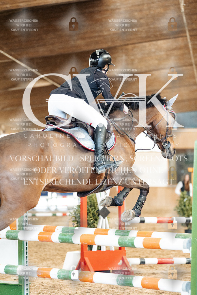 CK905232 | Turnierfotografie Pferdefotografie Trier Rheinland-Pfalz Pferdesport Reitsport Tierfotografie Sportfotografie Pferdevideo Pferdevideografie Equestrianvideography equestrianphotography  - Realisiert mit Pictrs.com