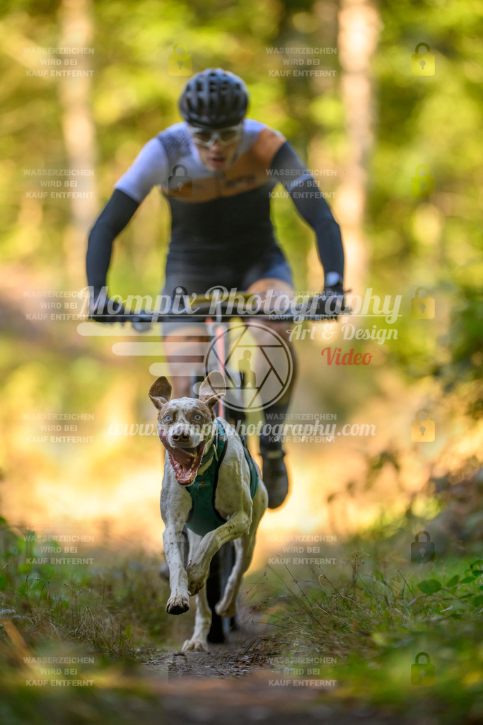 MompixPhotography_Yens2025_B3-122 | PayLife
