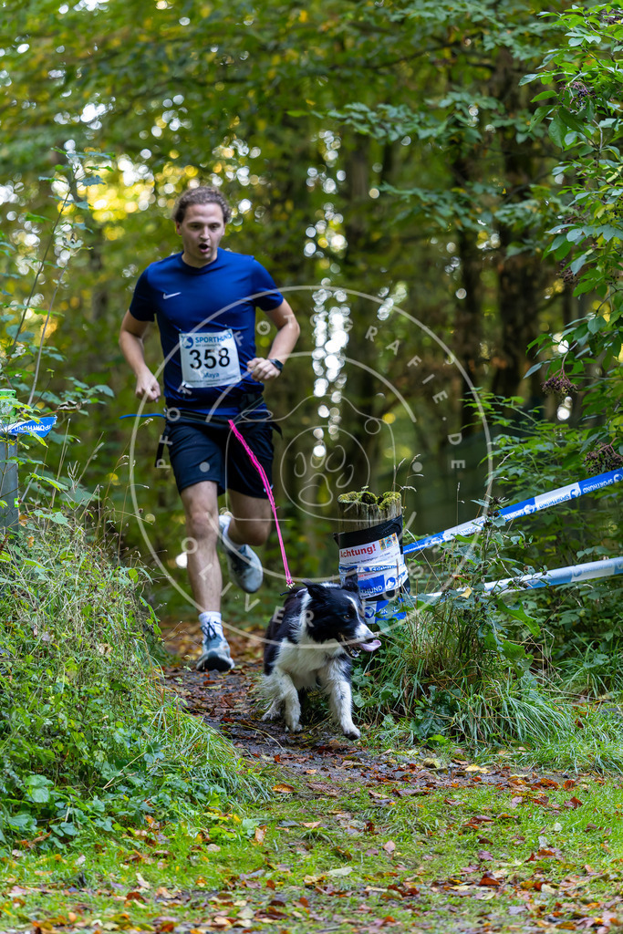 Pfotenfotografie_DV3A7582 | Hundefotografie, Tierfotograf, Pfotenfotografie, Fotoshooting Hund, Hunde Portrait, Hundesport, Hundeportraits, Heideshooting, Hunde, Sportfotograf, Hundefotograf, Turnierhundsport, THS,  - Realisiert mit Pictrs.com