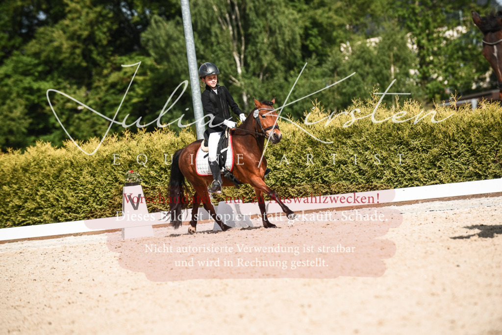 20230518_JK-Röhrsdorf-12-0391 | Pferde- und Turnierfotografie in Westsachsen. Pferdeportraits, Auftragszeichnungen und intuitive Kunst.