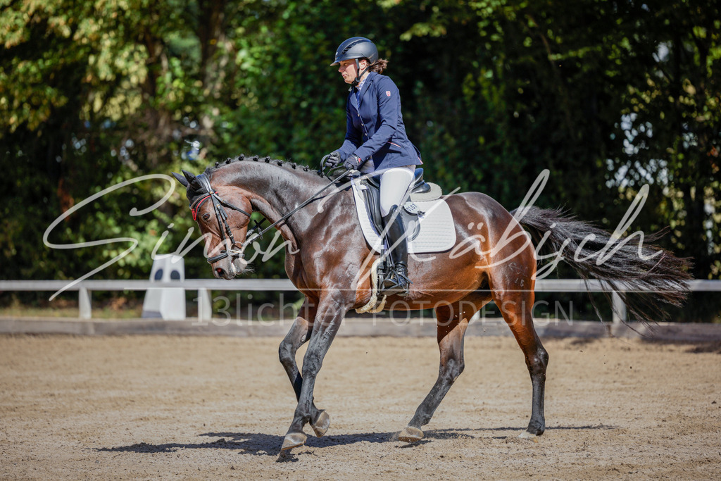 20250906-_3LI4352 | Tierfotografie Pferde, Hunde, Katzen, Haustiere.
Turnierfotografie Reitturniere, Reiten, Springreiten, Dressur in Hanau, dem Main-Kinzig-Kreis und dem Rhein-Main- Gebiet um Frankfurt