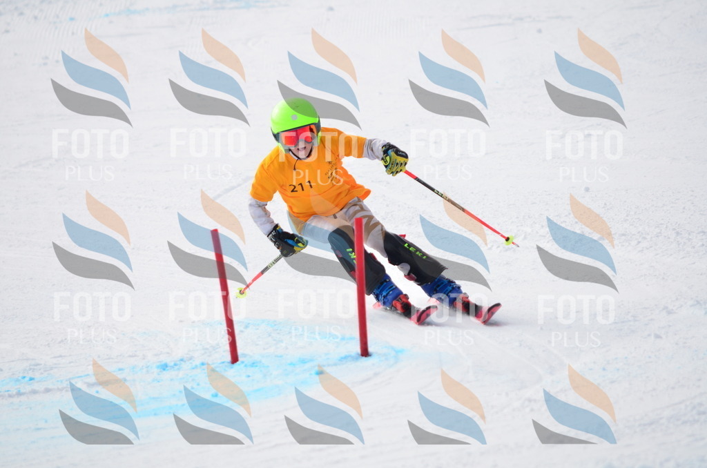 C8182 | holidayphoto