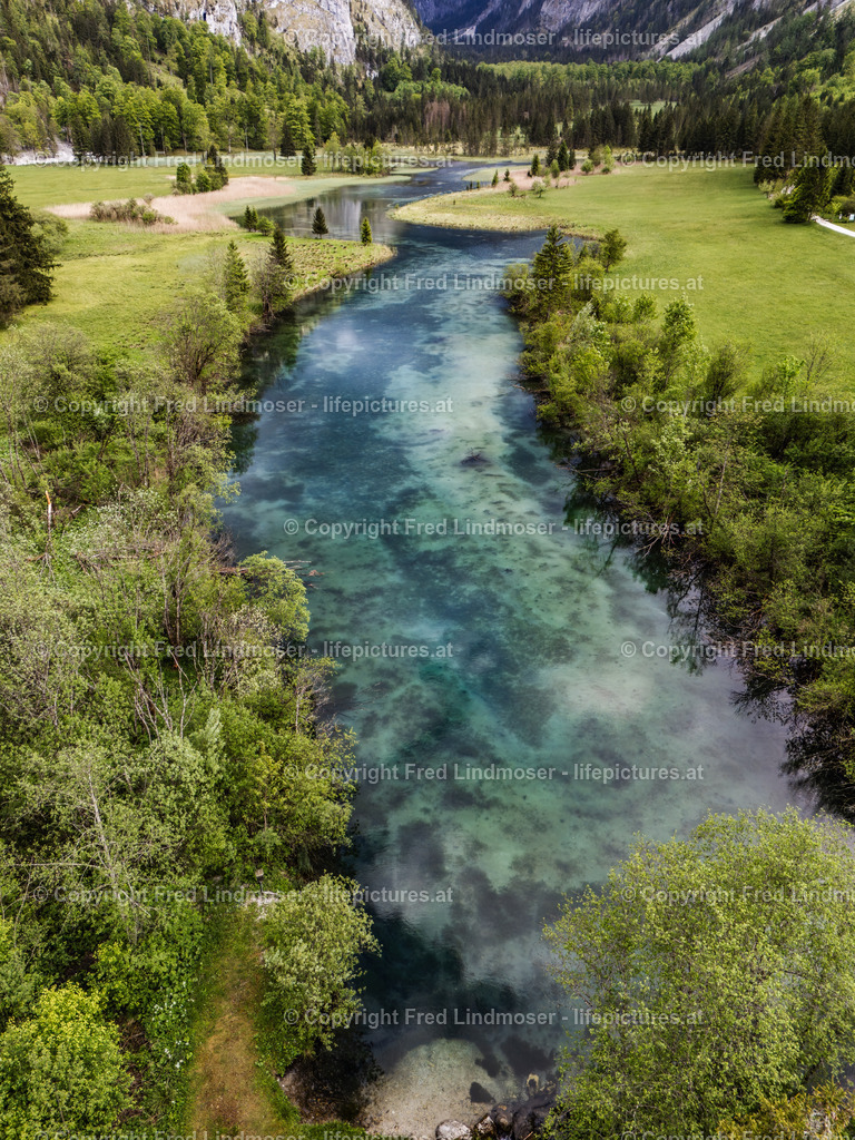 Brunnsee 15052025 _ Fred Lindmoser--8 | default - Realisiert mit Pictrs.com