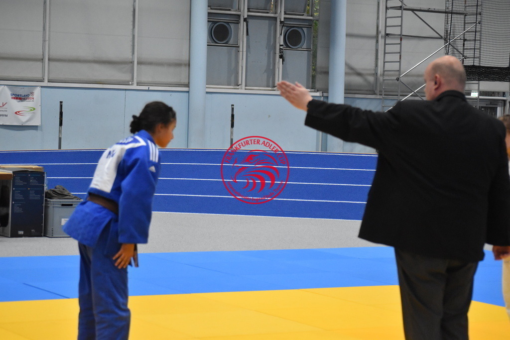 DSC_2101 | Fotos vom Adler Cup - Pictures from Adler Cup

Hier findet Ihr alle Eindrücke und großen Momente der Adler Cup Wochenenden. Here you will find all impressions and great moments of the Adler Cup weekends. - Realisiert mit Pictrs.com